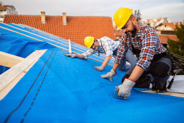 Best Roof Maintenance Services  in Republic, WA